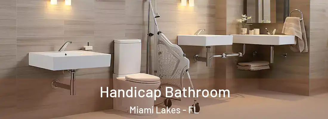 Handicap Bathroom Miami Lakes - FL