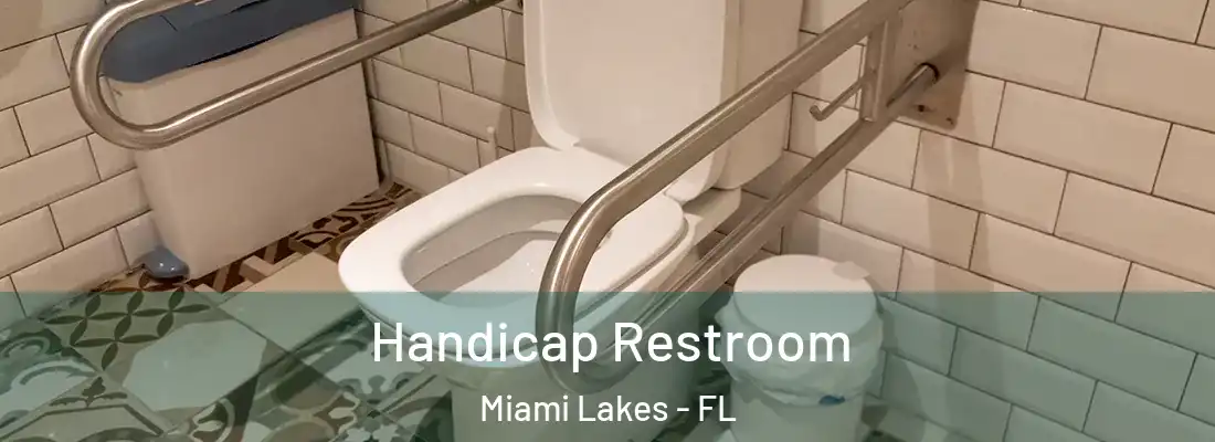 Handicap Restroom Miami Lakes - FL