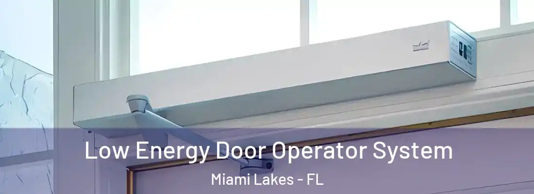  Low Energy Door Operator System Miami Lakes - FL