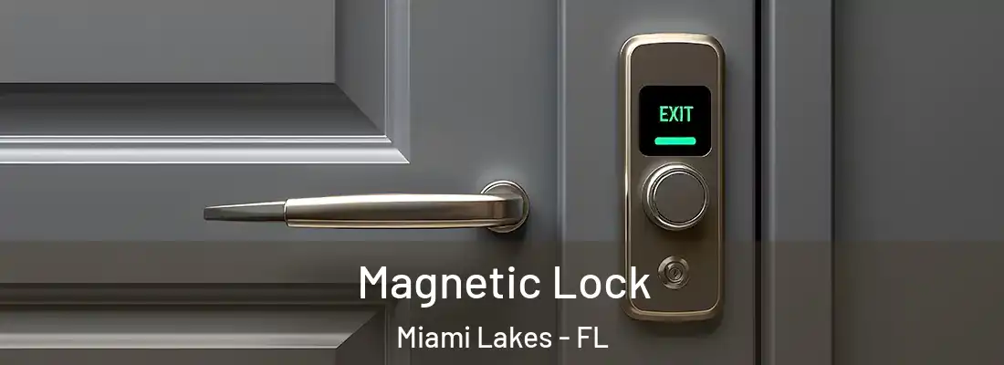 Magnetic Lock Miami Lakes - FL