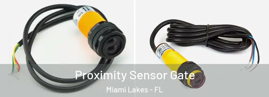 Proximity Sensor Gate Miami Lakes - FL
